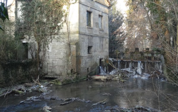 rivière, reconquete écologique, phytoremediation